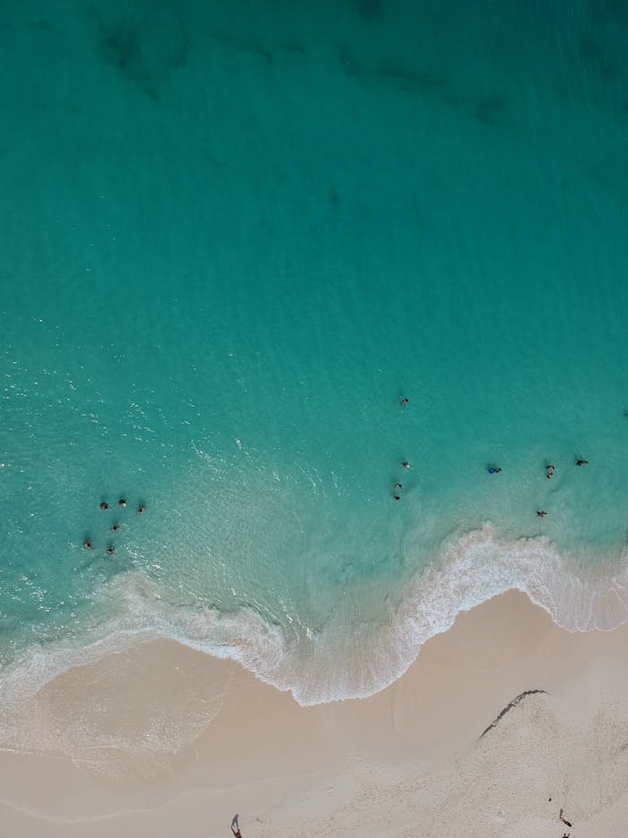 Discover the vibrant turquoise waters and sandy beaches of Aruba, captured from above.